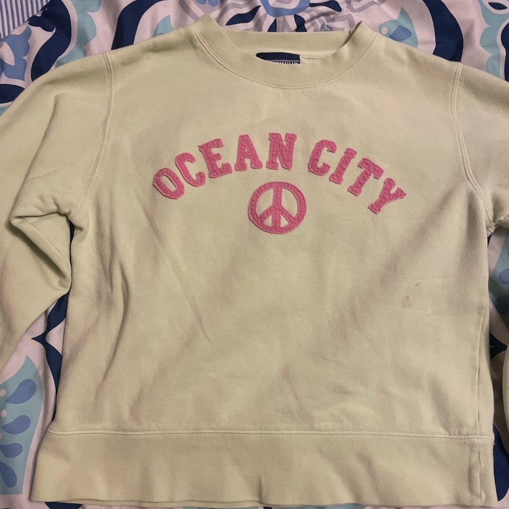this is a wonderful sweatshirt with a fleecy inside. Love the color on this one!
